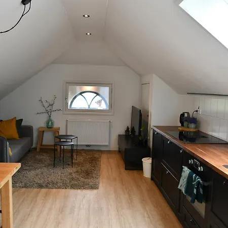 Appartementen Chaamse Bossen Met Tuin Exterior photo