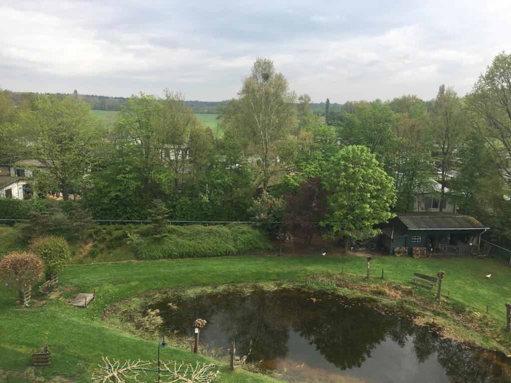 Chaamse Bossen Met Tuin *