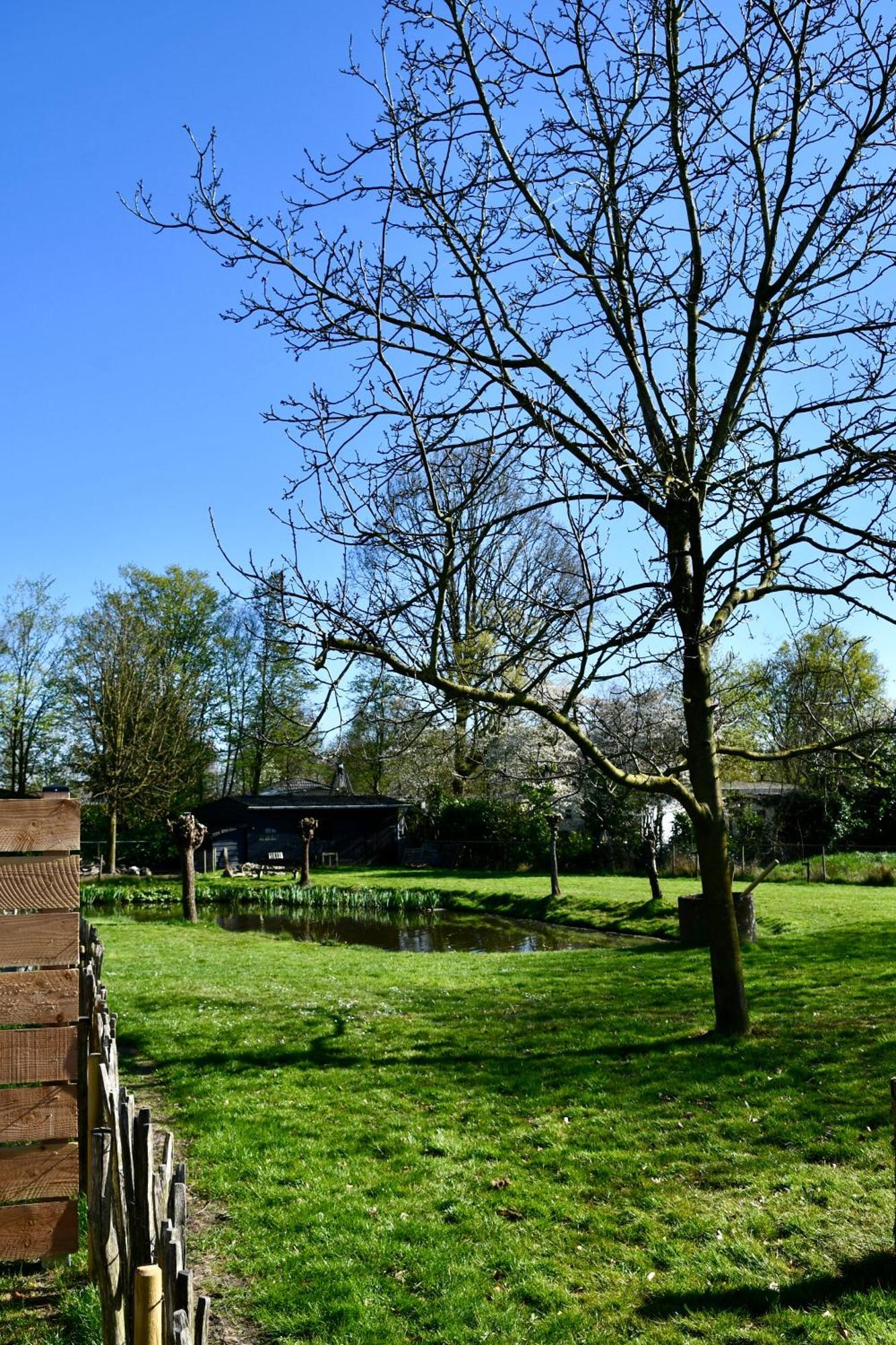 Chaamse Bossen Met Tuin * Chaam